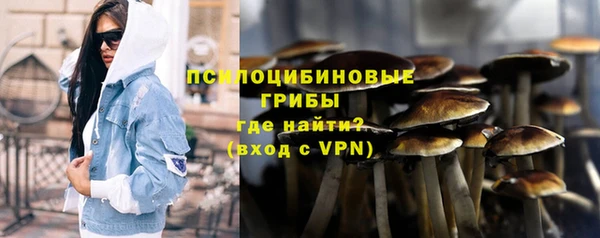 прущие грибы Абдулино