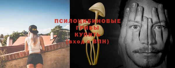прущие грибы Абдулино