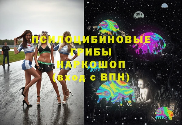 прущие грибы Абдулино