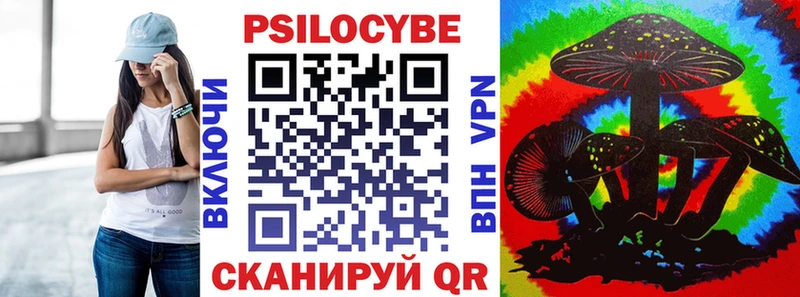 дарнет шоп Стерлитамак Галлюциногенные грибы мицелий