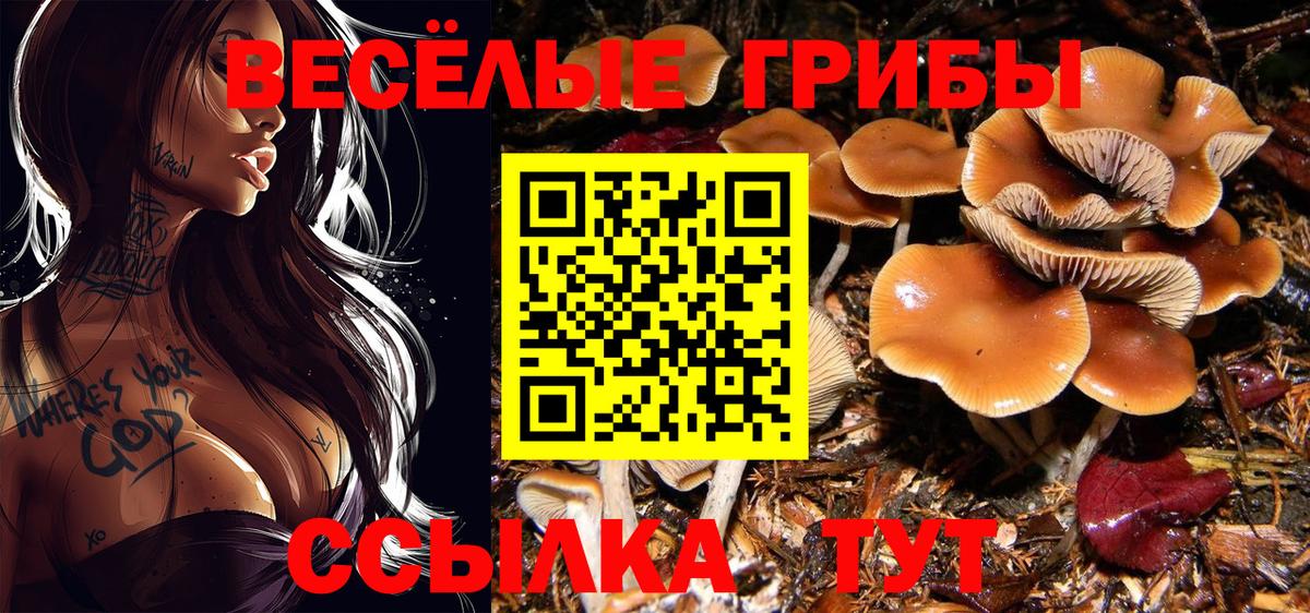 Псилоцибиновые грибы ЛСД Стерлитамак