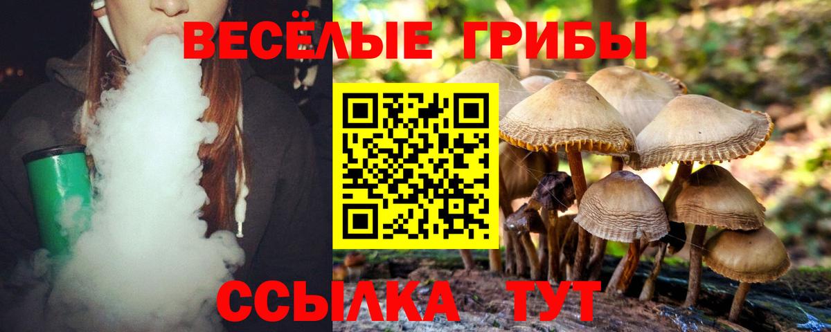 Стерлитамак  Псилоцибиновые грибы MAGIC MUSHROOMS  Вход с VPN  Псилоцибиновые грибы Psilocybe 